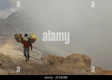 Le mineur porte les paniers avec du soufre le long du bord du cratère du volcan actif de Kawah Ijen à Java-est, en Indonésie. Chaque matin, deux centaines de mineurs descendent jusqu'au fond du cratère pour la prochaine charge de soufre. Ils remplissent leurs paniers avec du soufre manuellement et portent ensuite cette lourde charge sur les pieds. Le travail extrêmement dur dans les nuages de dioxyde de soufre toxique provoque une toux dure et des yeux qui tournent presque immédiatement. Cependant, les mineurs travaillent sans protection. Peu d'entre eux ont des masques à gaz. Chaque mineur gagne environ 10 dollars américains par jour. Banque D'Images