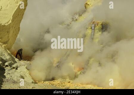 Le mineur recueille du soufre dans les nuages de gaz volcanique des mines de soufre du cratère du volcan actif de Kawah Ijen à Java-est, en Indonésie. Chaque matin, deux centaines de mineurs descendent jusqu'au fond du cratère pour la prochaine charge de soufre. Ils remplissent leurs paniers avec du soufre manuellement et portent ensuite cette lourde charge sur les pieds. Le travail extrêmement dur dans les nuages de dioxyde de soufre toxique provoque une toux dure et des yeux qui tournent presque immédiatement. Cependant, les mineurs travaillent sans protection. Peu d'entre eux ont des masques à gaz. Chaque mineur gagne environ 10 dollars américains par jour. Banque D'Images