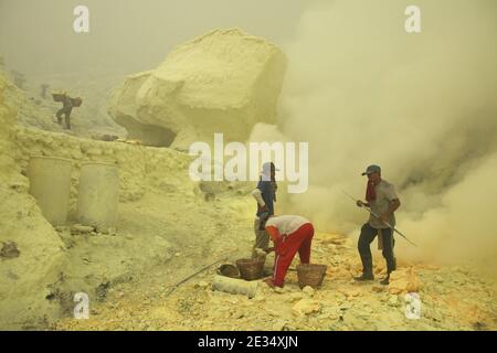 Les mineurs collectent du soufre dans les nuages de gaz volcanique des mines de soufre du cratère du volcan actif de Kawah Ijen à Java-est, en Indonésie. Chaque matin, deux centaines de mineurs descendent jusqu'au fond du cratère pour la prochaine charge de soufre. Ils remplissent leurs paniers avec du soufre manuellement et portent ensuite cette lourde charge sur les pieds. Le travail extrêmement dur dans les nuages de dioxyde de soufre toxique provoque une toux dure et des yeux qui tournent presque immédiatement. Cependant, les mineurs travaillent sans protection. Peu d'entre eux ont des masques à gaz. Chaque mineur gagne environ 10 dollars américains par jour. Banque D'Images