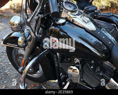 Gros plan sur le réservoir de gaz et le moteur d'une moto Harley Davidson noire communément appelée un porc, garée. Banque D'Images