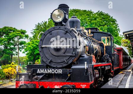 Un train à vapeur est tiré par une locomotive de classe C17 entièrement restaurée du début des années 1920, le long de la ligne de chemin de fer du patrimoine Mary Valley Rattler. Banque D'Images