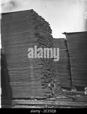 Piles de bois d'oeuvre à Ottawa. Banque D'Images