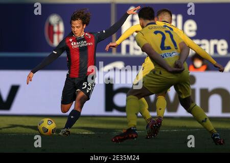 Bologne, Italie. 16 janvier 2021. Emanuel Vignato (Bologne) prend la direction du match Serie A Tim entre le FC Bologna 1909 et le FC Hellas Verona au Stadio Renato Dall'Ara le 16 2021 janvier à Bologne, Italie. Bologne gagne 1-0. (Photo de Giuseppe Fama/Pacific Press) crédit: Pacific Press Media production Corp./Alay Live News Banque D'Images