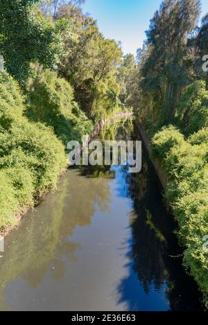 Duck Creek (canal d'eau à ciel ouvert) dans la banlieue de Clyde, dans l'ouest de Sydney, Nouvelle-Galles du Sud. Le ruisseau fait partie du bassin versant de la rivière Parramatta Banque D'Images