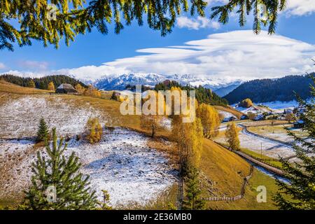 Brasov, Roumanie. Automne à Fundata Village. Paysage rural dans les Carpates, Roumanie. Banque D'Images