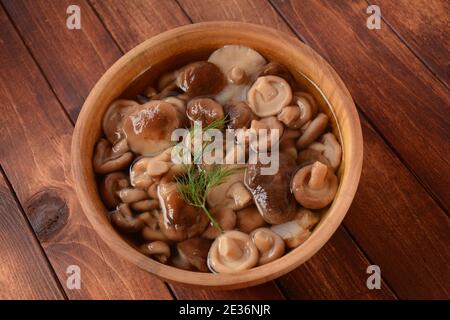 Bol en bois avec champignons de la forêt marinés faits maison, miel et agarics, sur une vieille planche en bois. Aliments sains fermentés. Banque D'Images