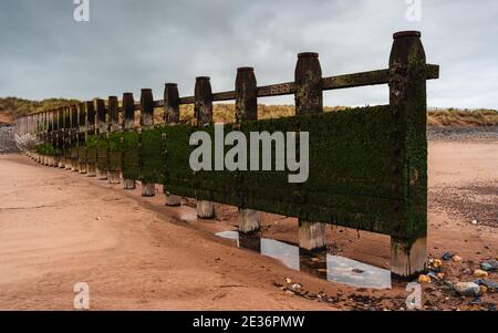 Plage à marée basse à Dawlish Warren, Devon, Angleterre, Europe Banque D'Images