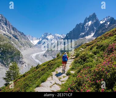 Grimpeur sur le sentier de randonnée, Grand balcon Nord, langue du glacier Mer de glace, derrière les grandes Jorasses, massif du Mont blanc, Chamonix, France Banque D'Images