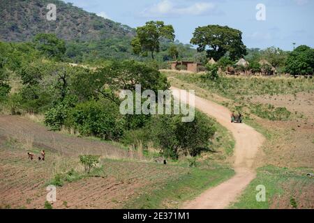 ZAMBIE, Sinazongwe, tribu des Tonga, village Muziyo, agriculture de montagne, agriculture de contour / Kleinbauern bestellen ihre Felder, Kontur Anbau Banque D'Images