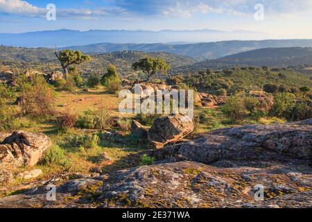 Paysage typique dans le parc national de la Sierra de Andujar, Andalousie, Espagne Banque D'Images