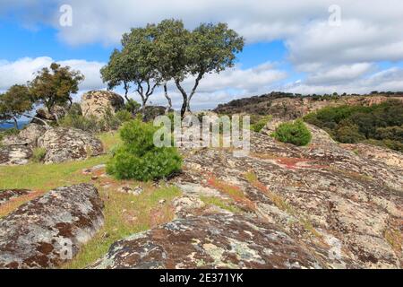 Paysage typique dans le parc national de la Sierra de Andujar, Espagne Banque D'Images