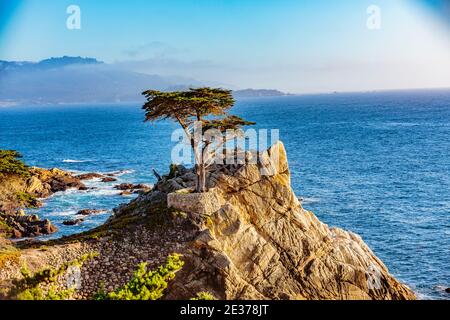 Pebble Beach, Californie, le 17 février 2018 : le Lone Cypress est un arbre emblématique qui se dresse au-dessus d'un affleurement en granit à Pebble Beach, entre-deux Banque D'Images