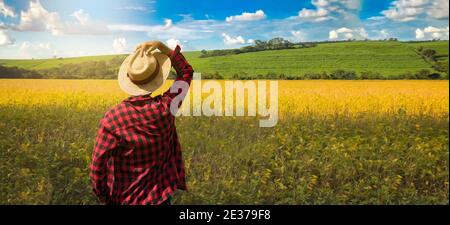 Agriculteur dans une plantation de champ de soja à un beau ciel nuageux ensoleillé jour Banque D'Images