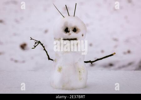 Duelmen, NRW, Allemagne. 17 janvier 2021. Un bonhomme de neige miniature à l'aspect légèrement fâché construit par des marcheurs sur un banc. Une couche de neige fraîche est tombée la nuit, transformant la campagne du Muensterland en un pays merveilleux pour l'hiver pendant quelques jours. Credit: Imagetraceur/Alamy Live News Banque D'Images