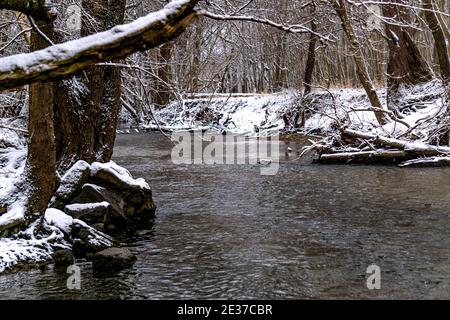 Neige fraîchement tombée couvrant les sentiers de la réserve de Honey Creek à Tipp City, Ohio. Banque D'Images