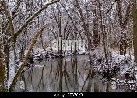 Neige fraîchement tombée couvrant les sentiers de la réserve de Honey Creek à Tipp City, Ohio. Banque D'Images