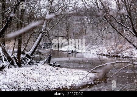 Neige fraîchement tombée couvrant les sentiers de la réserve de Honey Creek à Tipp City, Ohio. Banque D'Images