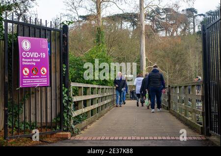 Maidenhead, Berkshire, Royaume-Uni. 17 janvier 2021. Ce matin, les gens tentent de se rendre à distance socialement sur l'île Ray Mill à Maidenhead. Pendant le confinement actuel de Covid-19, les directives gouvernementales prévoient que les gens peuvent s'exercer seuls, avec une autre personne, ou avec leur foyer ou leur bulle de soutien. Cela devrait être limité à une fois par jour, et les gens ne devraient pas voyager en dehors de leur région. Crédit : Maureen McLean/Alay Live News Banque D'Images