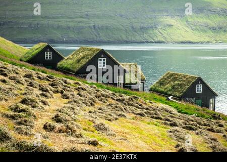 Vue pittoresque de tradicional le couvert des maisons du village Bour au cours de l'automne. Vagar et l'Île, Îles Féroé, Danemark. Banque D'Images