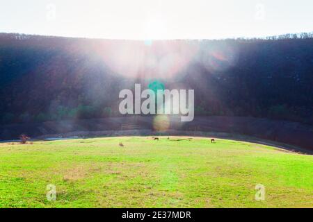 Prairie et colline dans la lumière du soleil . Paysage de printemps de descente . Chevaux paître au printemps Banque D'Images