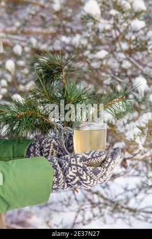 Pinède aiguille thé infusion dans verre transparent tasse à thé, personne avec style vintage mitaines tenue. Pins enneigés en arrière-plan, à l'extérieur. Banque D'Images