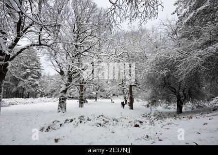 Corigliano Rossano, Italie. 17 janvier 2021. La neige couvrait une grande partie des collines et des montagnes calabraises, la vague de froid sibérien atteignit le centre-sud et en Calabre elle a enregistré sa présence avec des chutes de neige abondantes qui ont également blanchi des villes comme Cosenza. Difficulté de circulation routière et intervention des charrues enneigées crédit: Agence de photo indépendante/Alamy Live News Banque D'Images