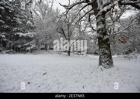 Corigliano Rossano, Italie. 17 janvier 2021. La neige couvrait une grande partie des collines et des montagnes calabraises, la vague de froid sibérien atteignit le centre-sud et en Calabre elle a enregistré sa présence avec des chutes de neige abondantes qui ont également blanchi des villes comme Cosenza. Difficulté de circulation routière et intervention des charrues enneigées crédit: Agence de photo indépendante/Alamy Live News Banque D'Images