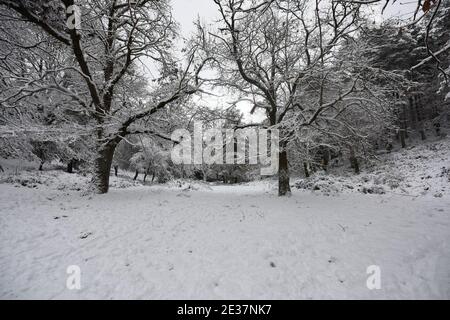 Corigliano Rossano, Italie. 17 janvier 2021. La neige couvrait une grande partie des collines et des montagnes calabraises, la vague de froid sibérien atteignit le centre-sud et en Calabre elle a enregistré sa présence avec des chutes de neige abondantes qui ont également blanchi des villes comme Cosenza. Difficulté de circulation routière et intervention des charrues enneigées crédit: Agence de photo indépendante/Alamy Live News Banque D'Images