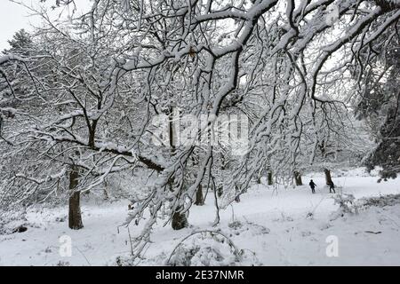 Corigliano Rossano, Italie. 17 janvier 2021. La neige couvrait une grande partie des collines et des montagnes calabraises, la vague de froid sibérien atteignit le centre-sud et en Calabre elle a enregistré sa présence avec des chutes de neige abondantes qui ont également blanchi des villes comme Cosenza. Difficulté de circulation routière et intervention des charrues enneigées crédit: Agence de photo indépendante/Alamy Live News Banque D'Images