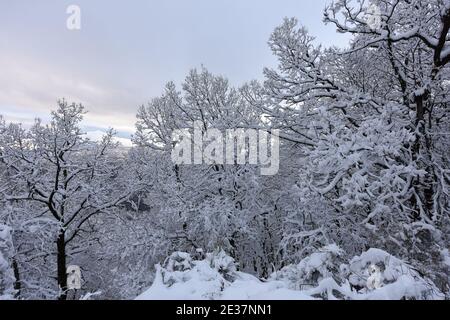 Corigliano Rossano, Italie. 17 janvier 2021. La neige couvrait une grande partie des collines et des montagnes calabraises, la vague de froid sibérien atteignit le centre-sud et en Calabre elle a enregistré sa présence avec des chutes de neige abondantes qui ont également blanchi des villes comme Cosenza. Difficulté de circulation routière et intervention des charrues enneigées crédit: Agence de photo indépendante/Alamy Live News Banque D'Images