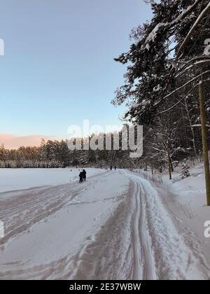 Paysage d'hiver : les skieurs longent un lac gelé par beau temps Banque D'Images