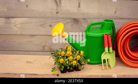 Les outils de jardin verts et les fleurs se tiennent sur fond de bois Banque D'Images