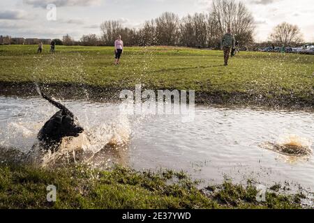 Oxford, Oxfordshire, Royaume-Uni. 17 janvier 2021. Les gens marchent à travers Port Meadow. Un laboratoire noir, Cooper chase une balle dans l'eau de Port Meadow, tandis que les enfants jouent dans la même sortie froide. Credit: Sidney Bruere/Alay Live News Banque D'Images