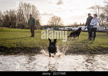 Oxford, Oxfordshire, Royaume-Uni. 17 janvier 2021. Les gens marchent à travers Port Meadow. Un laboratoire noir, Cooper chase une balle dans l'eau de Port Meadow, tandis que les enfants jouent dans la même sortie froide. Credit: Sidney Bruere/Alay Live News Banque D'Images