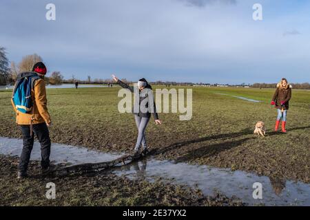 Oxford, Oxfordshire, Royaume-Uni. 17 janvier 2021. Les gens marchent à travers Port Meadow. Une femme marche son chien de mélange de spaniels, Roxie, à travers un pré boueux par une journée ensoleillée. Port Meadow est un terrain ouvert de 900 hectares à Oxford. Credit: Sidney Bruere/Alay Live News Banque D'Images