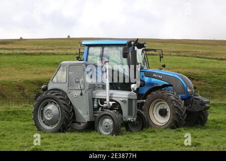 Muirkiirk, East Ayrshire, Écosse, Royaume-Uni, salon agricole du village, les agriculteurs locaux et leurs familles rencontrent et rivalisent avec le bétail, les moutons et le bétail exposés Banque D'Images