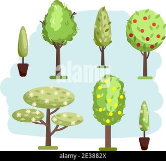 Illustration de différents types d'arbres. Illustration vectorielle. Illustration de Vecteur