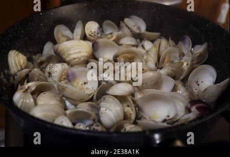 Moules blanches cuisant dans de l'eau à la vapeur Banque D'Images