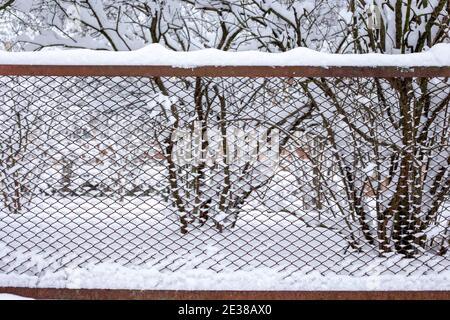 Neige sur une clôture en treillis d'acier de couleur rouge contre un arrière-plan d'arbres Banque D'Images