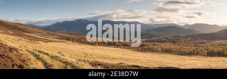 Parc national de Cairngorms en automne : une piste au-dessus de Moorland jusqu'à la forêt de bouleau argenté de Glen Feardar, avec Lochnagar au loin Banque D'Images
