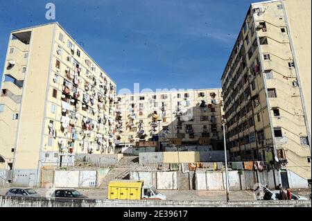 25 familles algériennes vivent dans des logements précaires dans le domaine de Diar Chems à El-Madania, en Algérie, le 29 décembre 2010. Les familles souhaitent des nouvelles. Photo de Louiza Ammi/ABACAPRESS.COM Banque D'Images