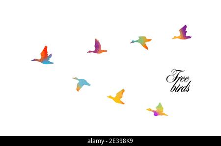 Aquarelle oiseau. Un canard volant vers le sud. Supports mixtes. Illustration vectorielle Illustration de Vecteur