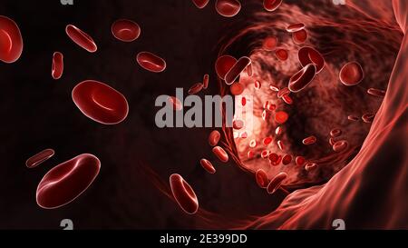 Illustration du rendu en 3D des artères ou des veines avec globules rouges ou érythrocytes. Système cardiovasculaire, anatomie, médecine, science, microbio Banque D'Images