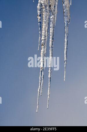 Gros plan des glaçons congelés Banque D'Images