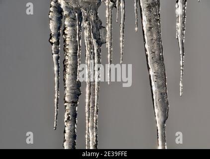 Gros plan des glaçons congelés Banque D'Images