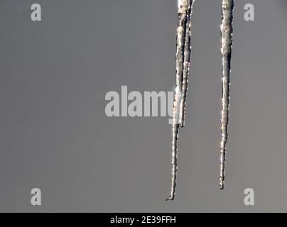 Gros plan des glaçons congelés Banque D'Images