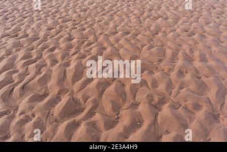 Sable sur la plage à marée basse, Dawlish Warren, Devon, Angleterre, Europe Banque D'Images