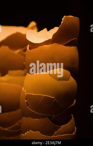 Une pile imposante de coquilles d'œufs fissurées montre une variété de couleurs pastel. Les coques sont reflétées dans un miroir, donnant l'apparence d'une deuxième pile. Banque D'Images