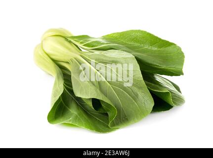 Whole pak choi devant un fond blanc Banque D'Images