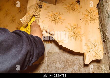 Retirer l'ancien papier peint réparations murs gants travail de réparation Banque D'Images